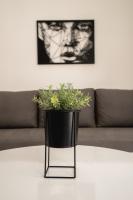 Fox Apartment - B&B Gevgelija