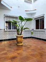 Apartment Queen Pompeyos con Parking bajo reserva Tendillas Mezquita-Catedral - Chambres d'hôtes Cordoue
