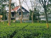 Super luxury Gold Room with private pool at Homestay by the tea garden Dibrugarh - B&B Dibrugarh