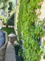 Logement cosy avec piscine ,parking et jardin - B&B Villeneuve-lès-Avignon