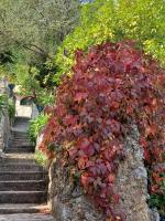 B&B Gourdon - LES IRIS - Bed and Breakfast Gourdon