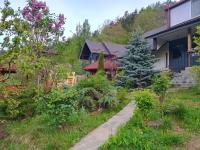 Lake Residence - B&B Pângărăcior