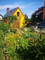 Zum Waldmeister - WC außerhalb - B&B