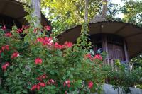 Eco Conservation Landak Luxury Tents - Bed and Breakfast