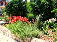 Galini Beach Studios and Penthouse - B&B Mesongí