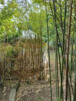 Yourte à La Campagnette - B&B Montpellier