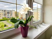 visit baltic - Apartament Sunny - B&B Świnoujście