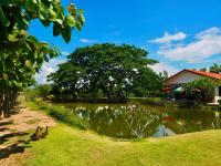 Tea Tree House in Chiang Mai - B&B
