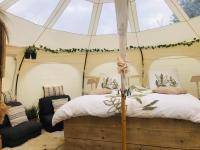 B&B Brakel - Glamping -Logie Moonlight - Bed and Breakfast Brakel