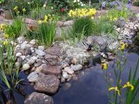 Feriendomizil Sonnenschein - B&B Rust