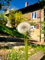 Cloos - Elegant Residence with Panoramic View - Ferienwohnung