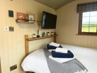 Poppy - B&B Rhayader