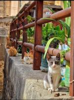 CASA DIDYMA - B&B San Giovanni Gemini