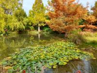Father House - B&B Kaiapoi