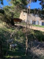 Gîte des restanques - B&B