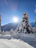 Apartment Kerer - B&B Wald im Pinzgau