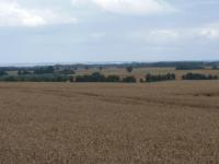 Haus Mara - Bed and Breakfast Klein Pravtshagen