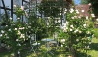 B&B Malente - Ferienwohnung Adolfshof 1 - Bed and Breakfast Malente