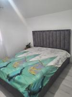 Alina apartaments - B&B Sibiu
