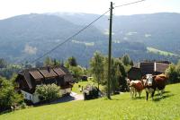 B&B Arriach - Ferienwohnung Lahnerhof - Bed and Breakfast Arriach