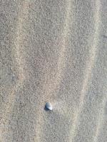 Villetta Rewal - B&B Rewal