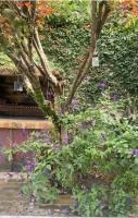 La Casita de Bogado - B&B