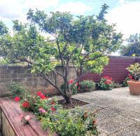 Appartamento Galgani - B&B