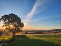 Lush Pastures - B&B Bald Hills