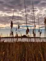 Studio cabine GRUISSAN PLAGE DU GRAZEL - B&B Gruissan