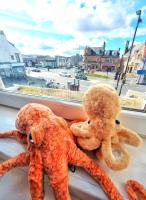 The Octopus - at Largs Town Centre with Private Parking - B&B Largs