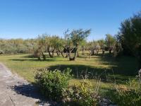 Studio avec Mezzanine classé 3 etoiles en bord de Mer - B&B Saint-Cyprien