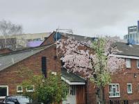 Clifton House O2 & Excel Rooms with private bathroom and Breakfast option - B&B London