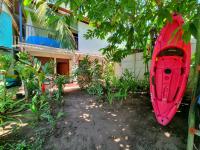 Wildlife Tortuguero - B&B Tortuguero