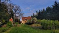 Dzikie wino - B&B