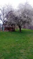 Casa de la Moară - Bed and Breakfast