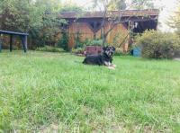 Ferienhaus mit Seeblick - B&B Templin