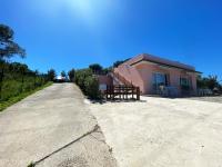 Apartment - Erdgeschoss