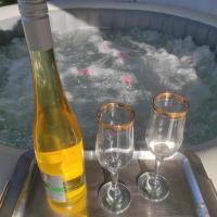 Vila Obradovic - B&B Arilje