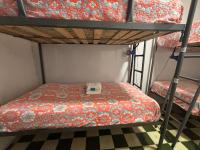 Bett im Frauenschlafsaal mit 4 Betten