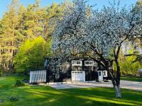 Pušyno apartamentai - B&B