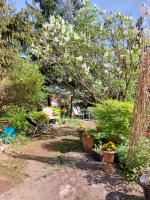 Apartament Różana przy ICE - Chambres d'hôtes Cracovie