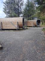 Celtic Minor Pods - B&B