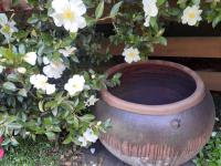 French Boutique Loft Apartment @Chapmans+breakfast - B&B Moss Vale