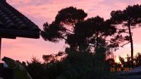 T2 au calme avec terrasse sur le bassin d'Arcachon - Ferienwohnung