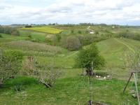 Le Chouette loft - Ferienwohnung Boudou