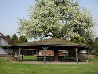 Czarna Owca - B&B