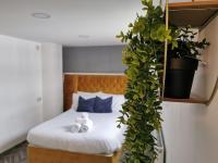 Studio with Garden View