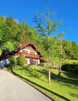 Luxus Alpenparadies nahe Salzburg Sauna & Whirlpool - Chambres d'hôtes Adnet