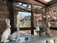 Bio Kastanienhof Erfurt - Hotelpension, Frühstück & Kräuterwellness - B&B Érfurt