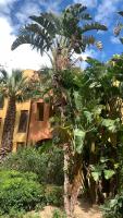 NEST HOUSE - ESCLUSIVO APPARTAMENTO Marina di Olbia- MATER OLBIA - Beaches - close to the Airport - PRIVATE PARKING- Full comforts - - B&B Olbia
